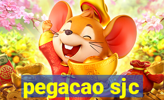 pegacao sjc